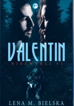 Okadka ksiki - Valentin