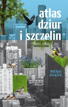 Okadka ksiki - Atlas dziur i szczelin