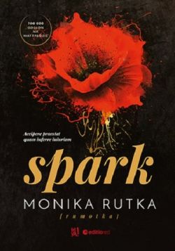 Okładka książki - Spark