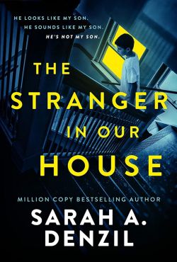 Okadka ksiki - The stranger in our house