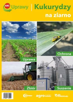 Okadka ksiki - ABC uprawy kukurydzy na ziarno 
