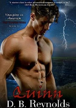 Okadka ksiki - Quinn