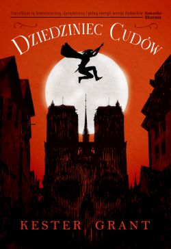 Okadka ksiki - Dziedziniec Cudw