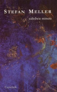 Okadka ksiki - Zaledwie minuta