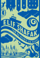 Okadka ksiki - Tam na niebie s rzeki