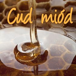 Okadka ksiki - Cud mid