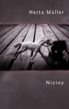 Okadka ksiki - Niziny