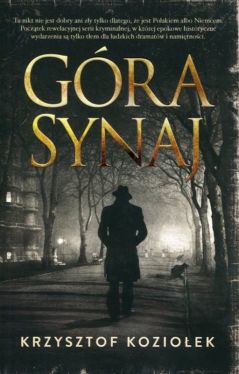 Okładka książki - Góra Synaj