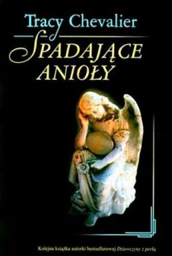 Okadka ksiki - Spadajce anioy