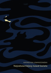 Okadka ksiki - Najzabawniejszy kawa wiata