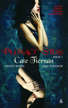 Okadka ksiki - Poncy stos - Ksiga 1.  Kielich wiatru, Krg popiow