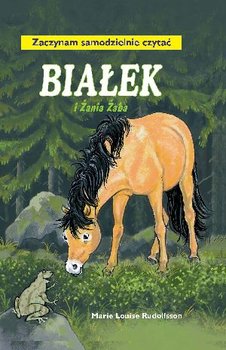 Okadka ksiki - Biaek i ania aba