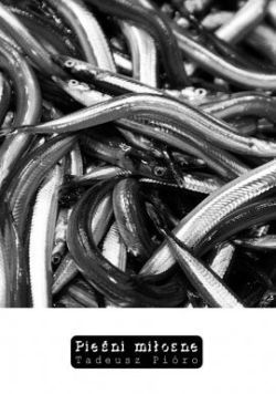 Okadka ksiki - Pieni miosne