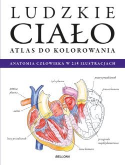 Okadka ksiki - Ludzkie ciao. Atlas Do Kolorowania