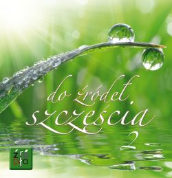 Okadka ksiki - Do rde szczcia 2