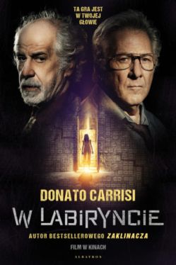 Okładka książki - W labiryncie 