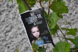 Okadka ksiki - Nie zostawia si dziecka w niebie