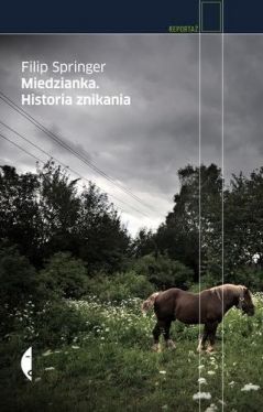Okadka ksiki - Miedzianka. Historia znikania