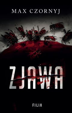 Okadka ksiki - Zjawa