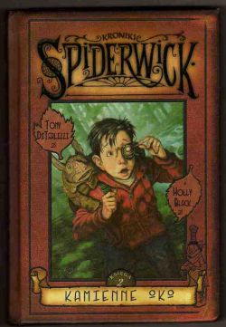 Okadka ksiki - Kamienne oko