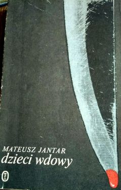 Okadka ksiki - Dzieci wdowy