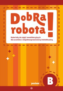 Okadka ksiki - Dobra robota! Poziom B. Materiay do zaj rewalidacyjnych dla uczniw z niepenosprawnoci intelektualn