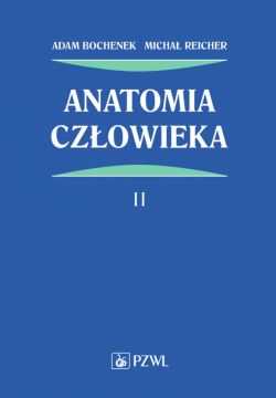 Okadka ksiki - Anatomia czowieka. Tom 2