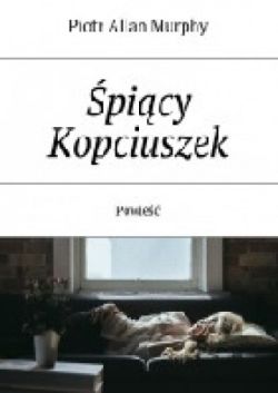 Okadka ksiki - picy Kopciuszek