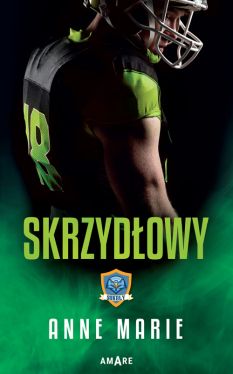 Okadka ksiki - Skrzydowy