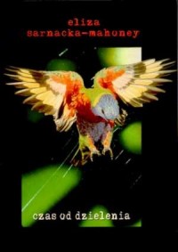 Okadka ksiki - Czas od dzielenia