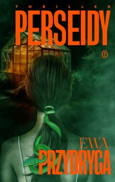 Okadka ksiki - Perseidy