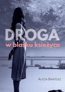 Okadka ksiki - Droga w blasku ksiyca
