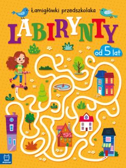 Okadka ksiki - Labirynty. amigwki przedszkolaka od 5 lat