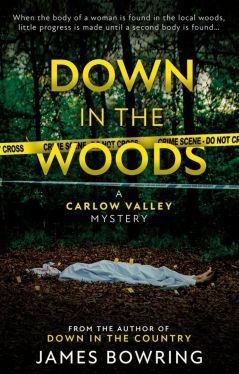 Okadka ksiki - Down in the Woods: A Carlow Valley Mystery