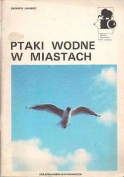 Okadka ksiki - Ptaki wodne w miastach