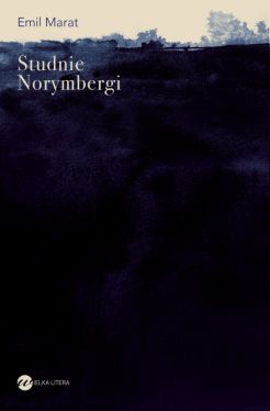 Okadka ksiki - Studnie Norymbergi