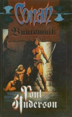 Okadka ksiki - Conan buntownik