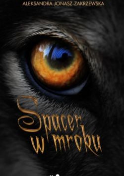 Okadka ksiki - Spacer w mroku