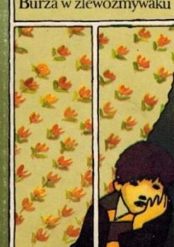 Okadka ksiki -  Burza w zlewozmywaku