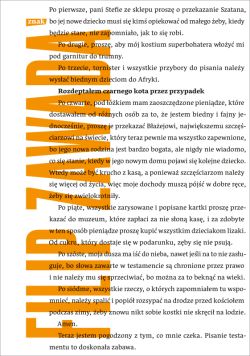 Okadka ksiki - Rozdeptaem czarnego kota przez przypadek