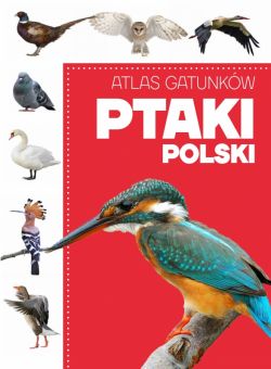 Okadka ksiki - Atlas gatunkw. Ptaki Polski