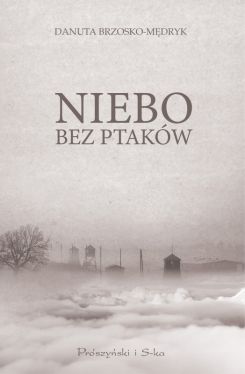 Okadka ksiki - Niebo bez ptakw