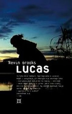 Okadka ksiki - Lucas