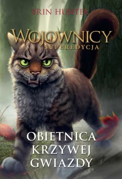 Okadka ksiki - Obietnica Krzywej Gwiazdy
