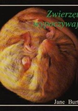 Okadka ksiki - Zwierzta wypoczywaj.