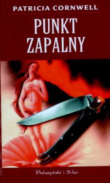 Okładka książki - Punkt zapalny