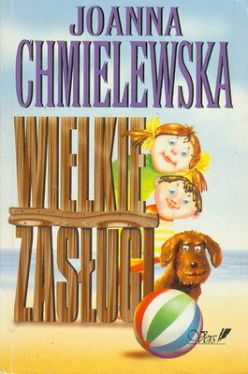 Okadka ksiki - Wielkie zasugi