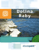 Okadka ksiki - Dolina Raby. Miniprzewodnik
