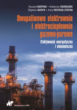 Okadka ksiki - Dwupaliwowe elektrownie i elektrociepownie gazowo-parowe. Efektywno energetyczna i ekonomiczna