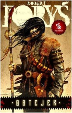 Okadka ksiki - Sztejer